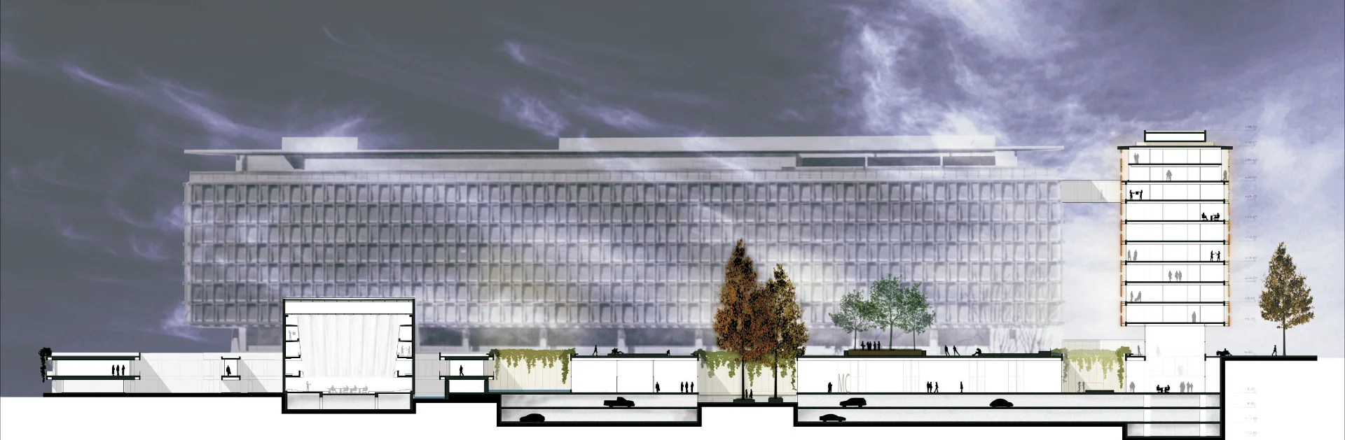 ZIP - World Health Organization